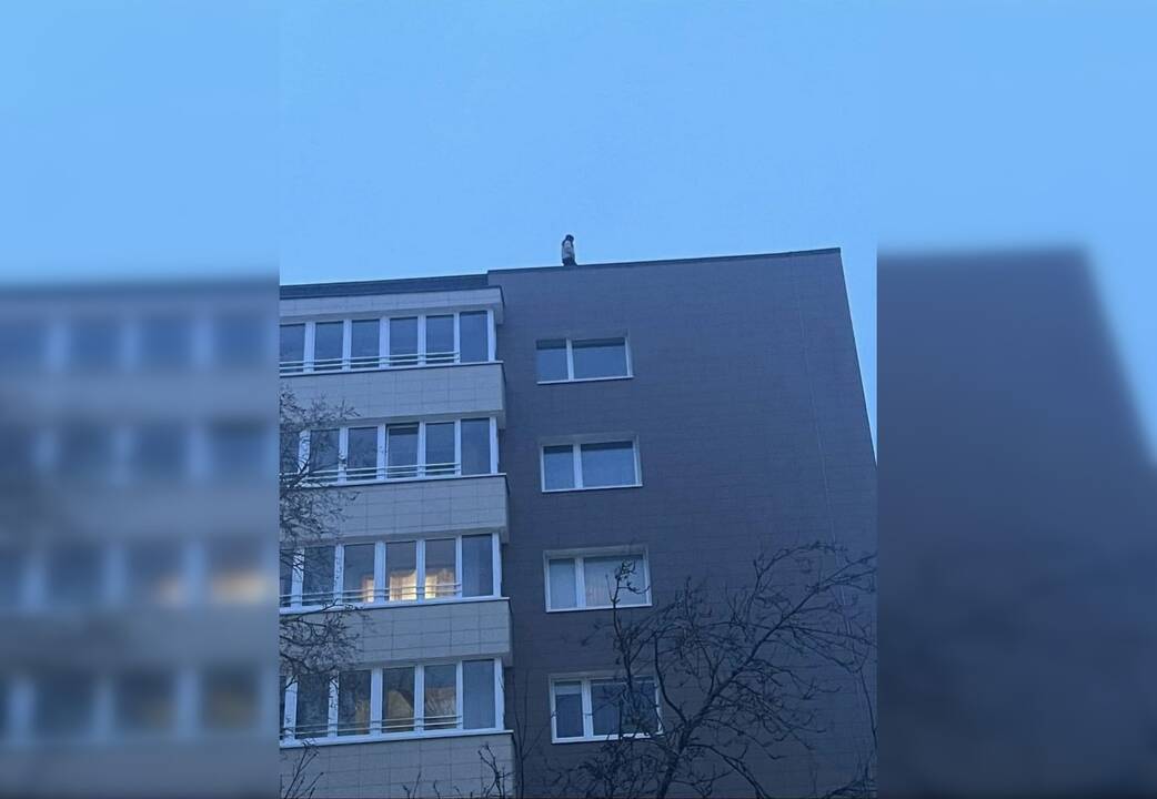 Nerimas: klaipėdietė socialiniame tinkle paskelbė įrašą, kuriame matyti, kaip paaugliai vaikšto devynaukščio stogu.
