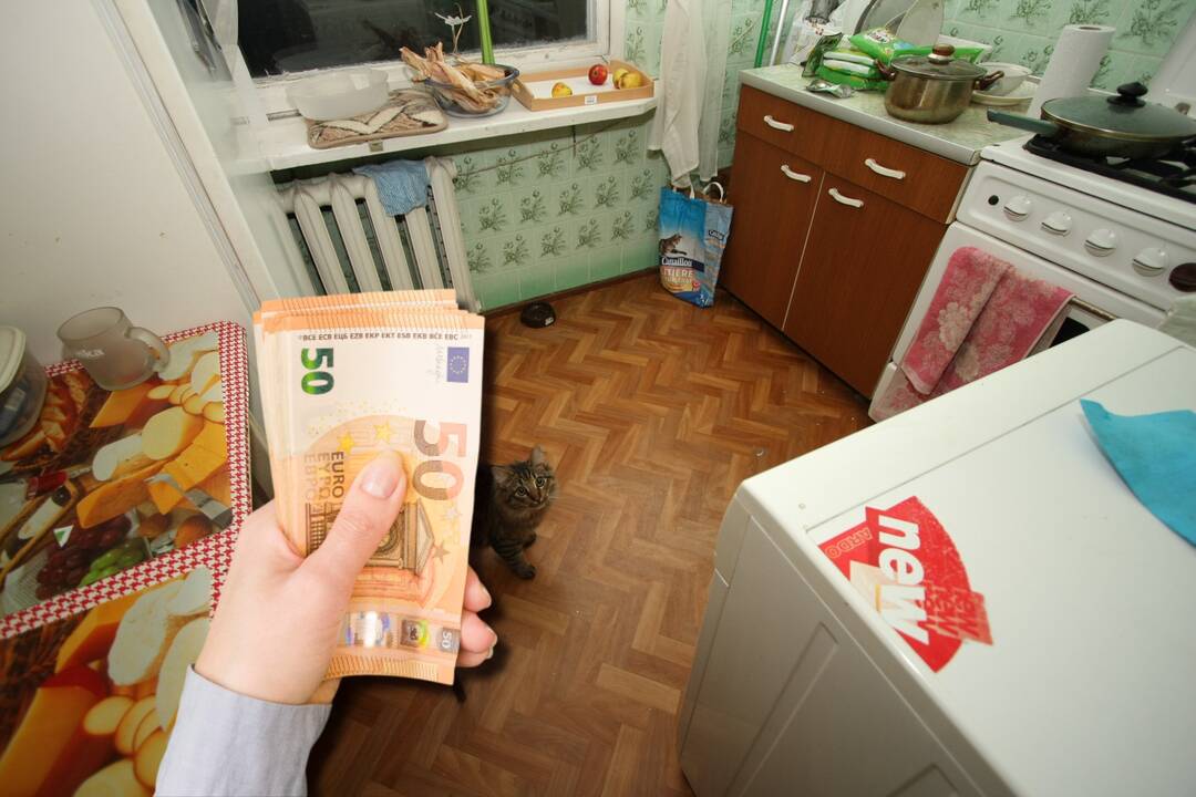 Dėl NT mokesčio – niūri prognozė: mokės būtent tie, kurie neturi turto