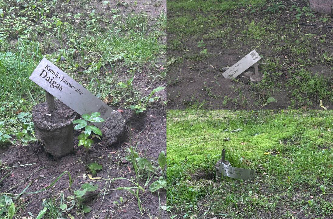 Pasidarbavo: Skulptūrų parke buvo išvartytos ir sulaužytos prie skulptūrų esančios informacinės lentelės.