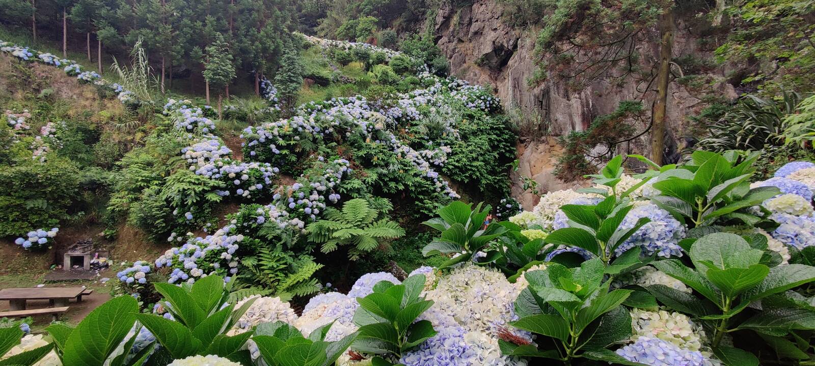 Spalvotai: vienas daugiausia fotografuojamų pasaulio vaizdų atsiveria nuo Boca do Inferno apžvalgos aikštelės.