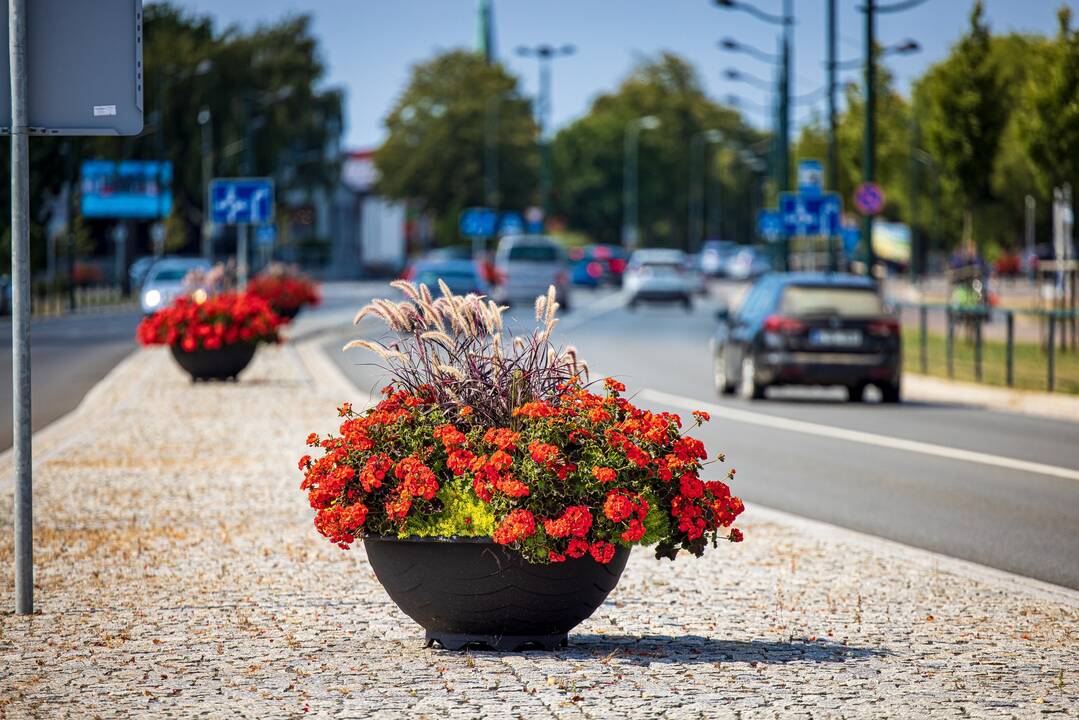 Šarūnas Vaitkus.