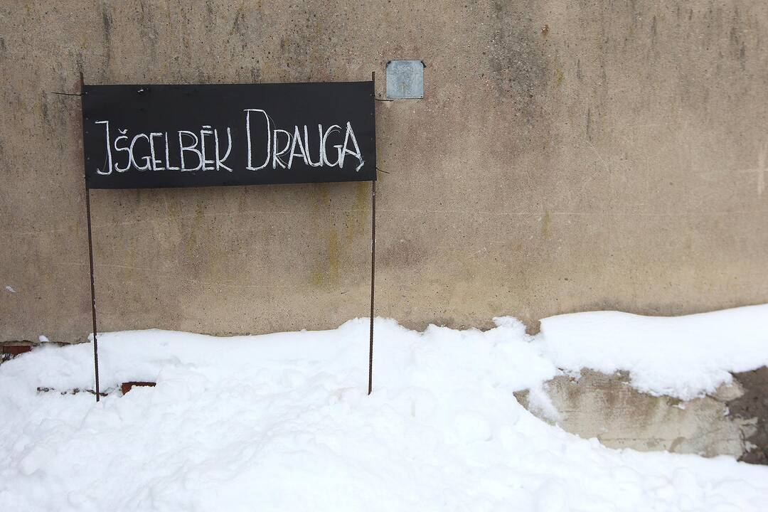 Pasaulinė sniego diena Pažaislyje