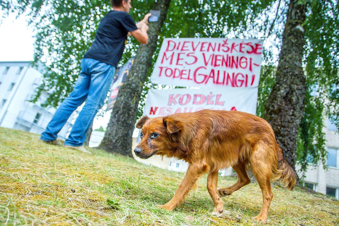 Pasienio su Baltarusija rajonų kasdienybė