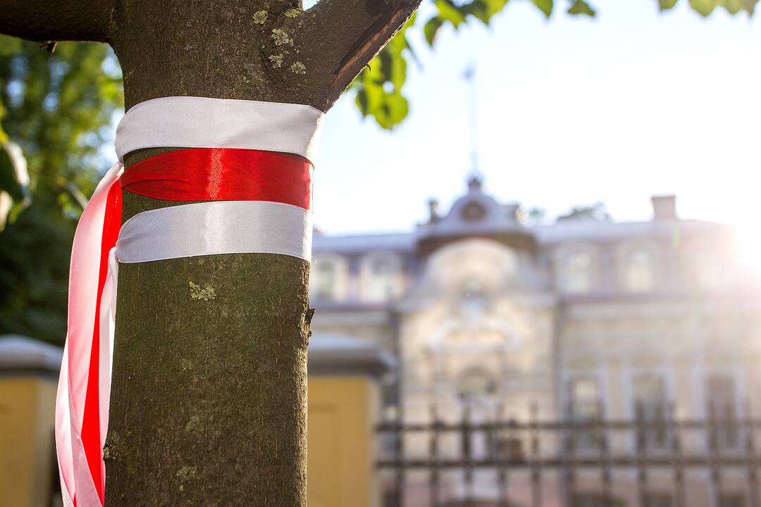 Baltarusių protesto palaikymo akcijos Vilniuje