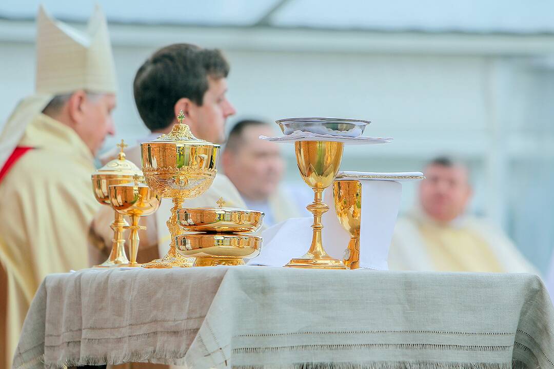 Valstybės dienos paminėjimas Zapyškyje