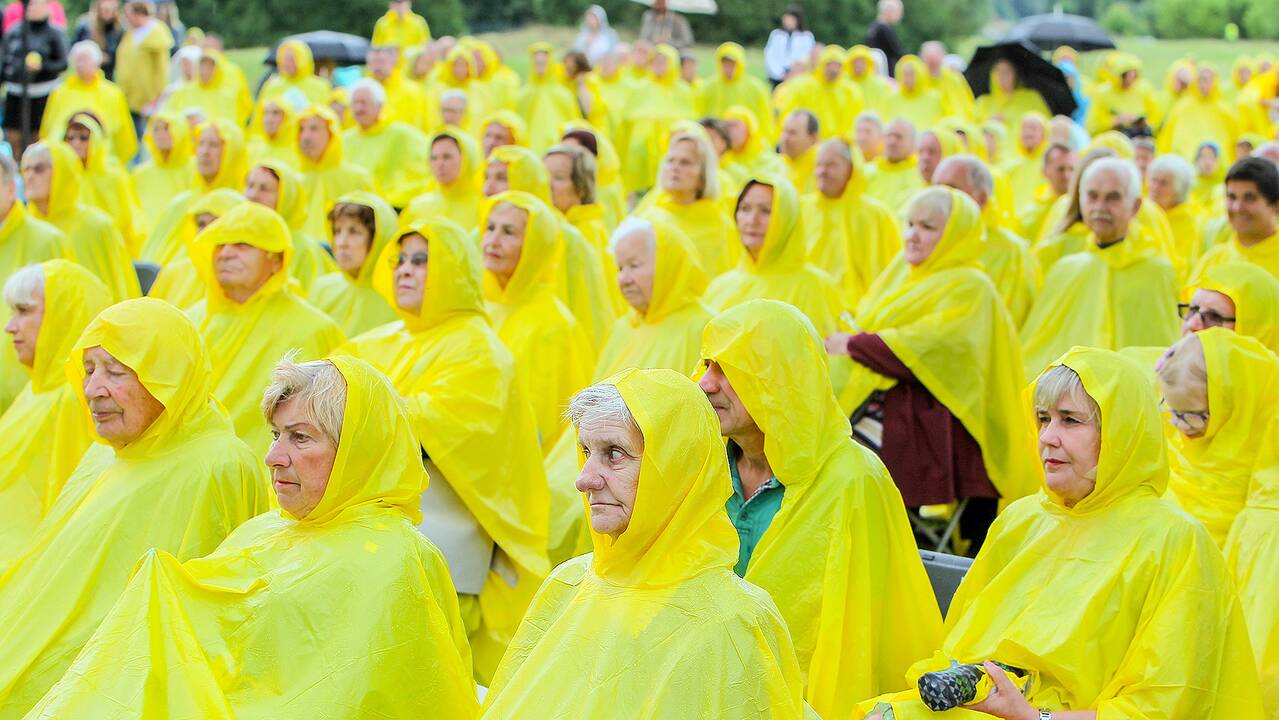 Valstybės dienos paminėjimas Zapyškyje