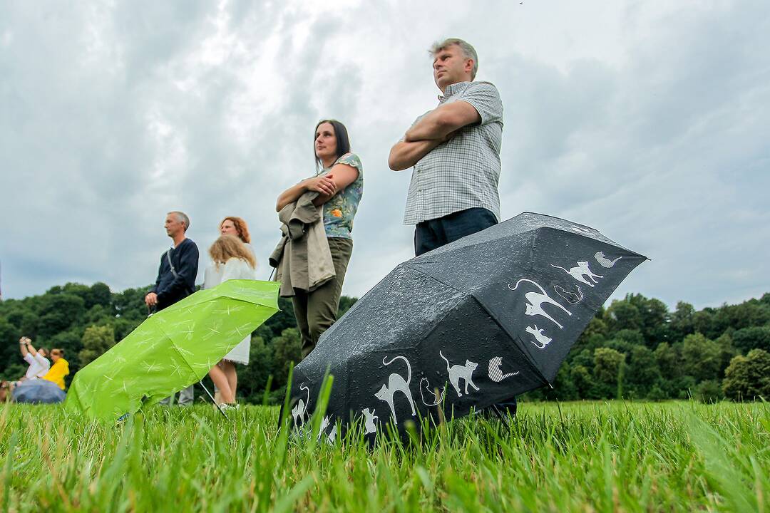 Valstybės dienos paminėjimas Zapyškyje