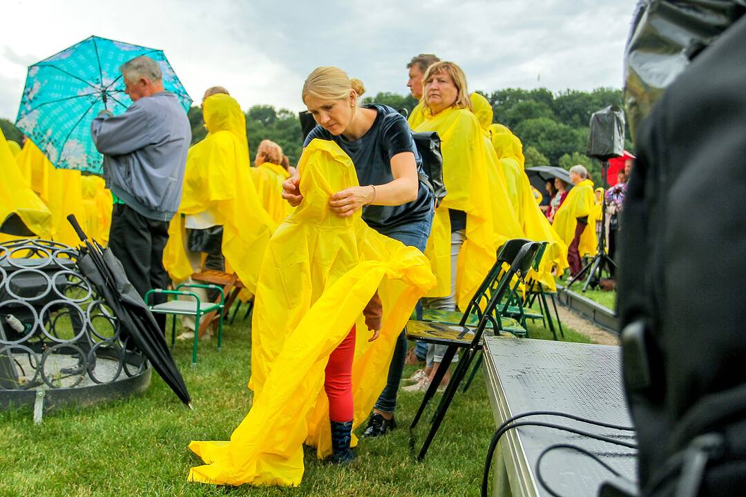 Valstybės dienos paminėjimas Zapyškyje