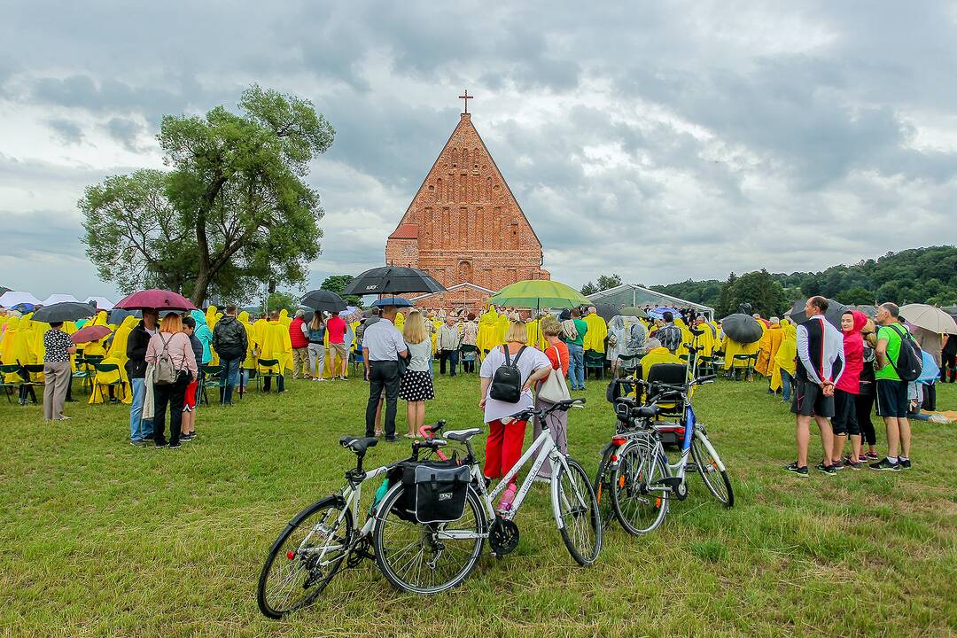 Valstybės dienos paminėjimas Zapyškyje