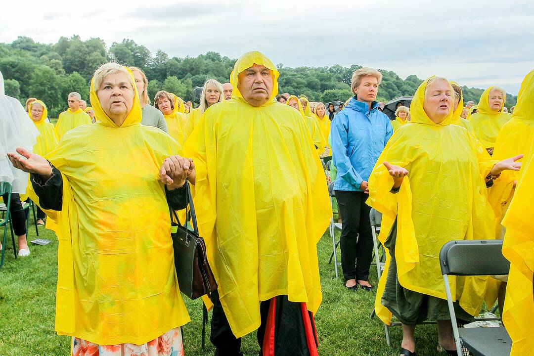 Valstybės dienos paminėjimas Zapyškyje