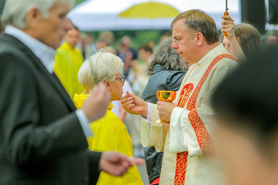Valstybės dienos paminėjimas Zapyškyje