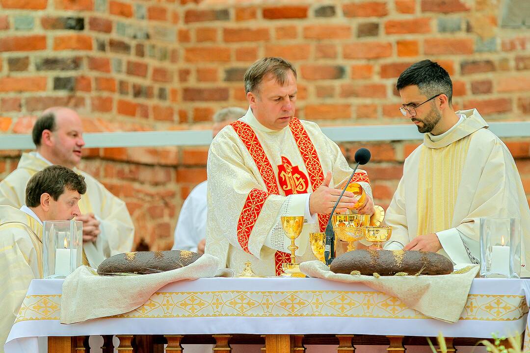 Valstybės dienos paminėjimas Zapyškyje