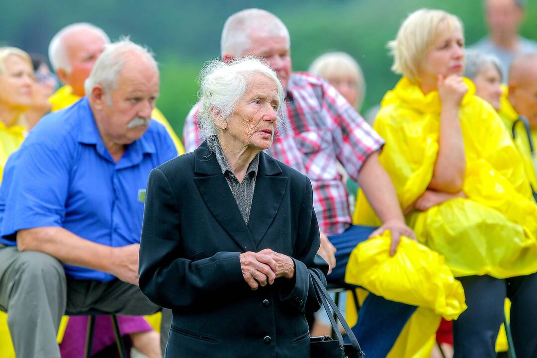 Valstybės dienos paminėjimas Zapyškyje
