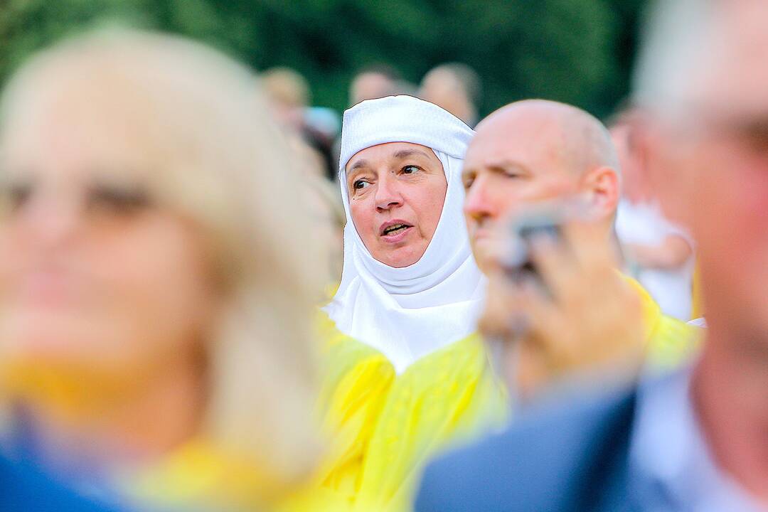 Valstybės dienos paminėjimas Zapyškyje