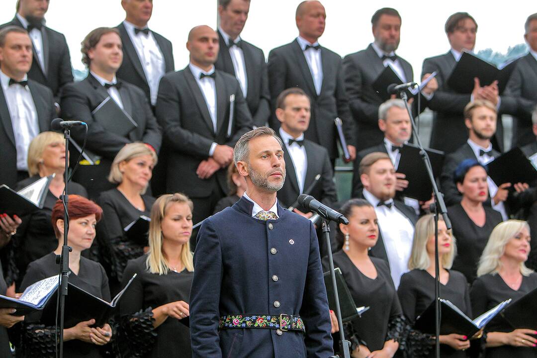 Valstybės dienos paminėjimas Zapyškyje