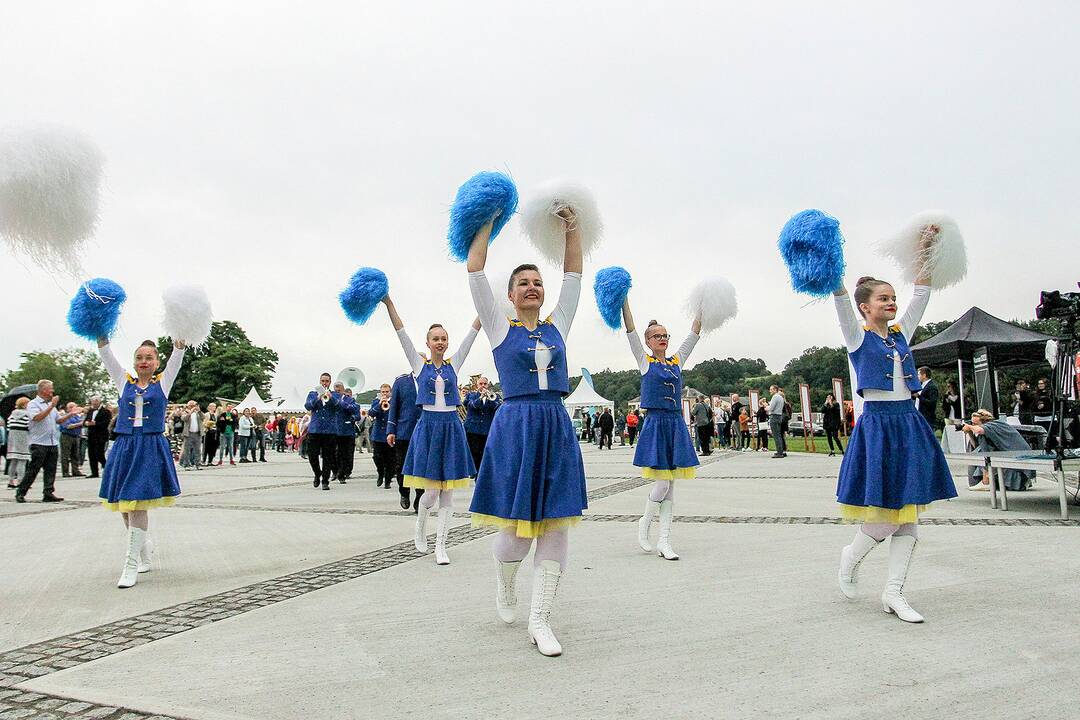 Valstybės dienos paminėjimas Zapyškyje