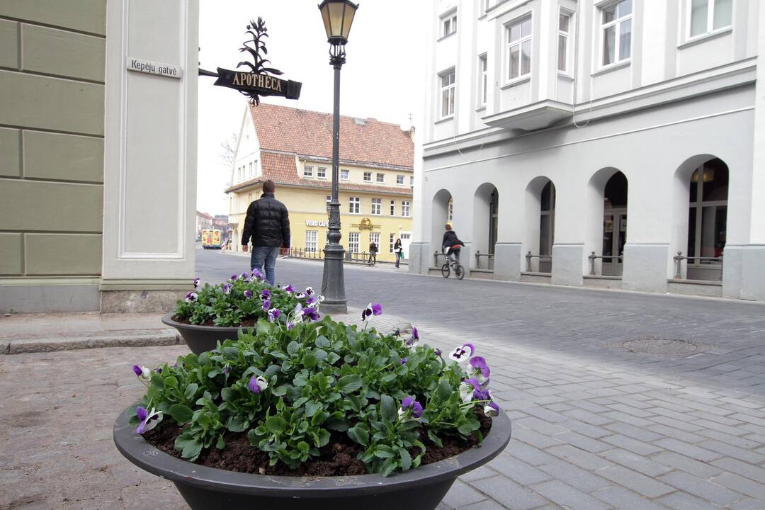 Gėlių žiedams – paskutinės dienos