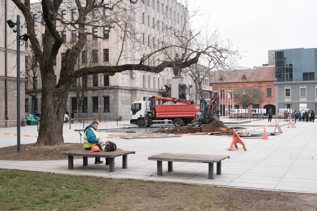 Naujai susodintos liepos Laisvės alėjoje