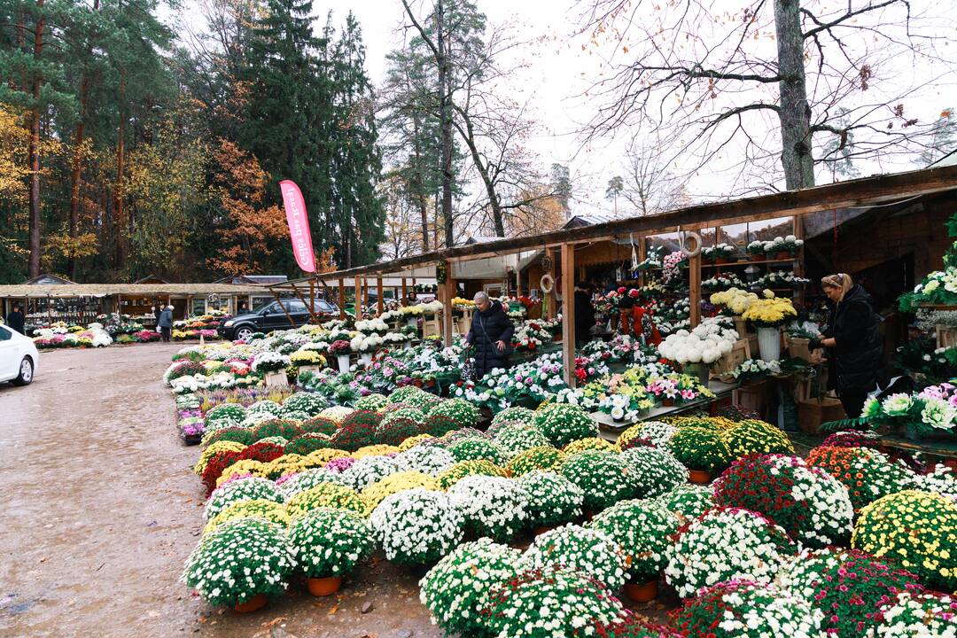 Kauniečiai plūsta į Karmėlavos kapines