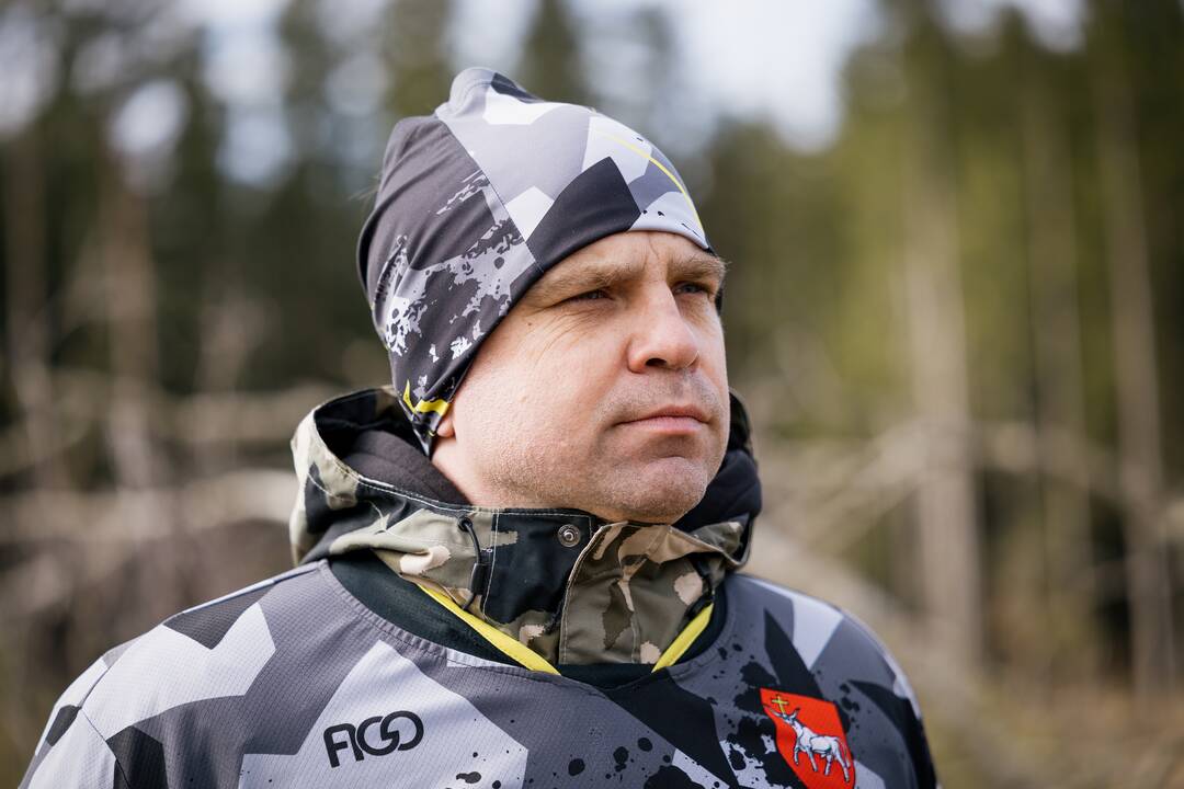 Miškasodis