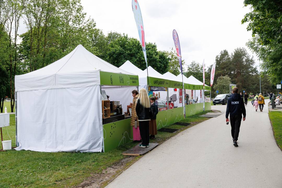 Kaunas pradeda švęsti 617-ąjį gimtadienį