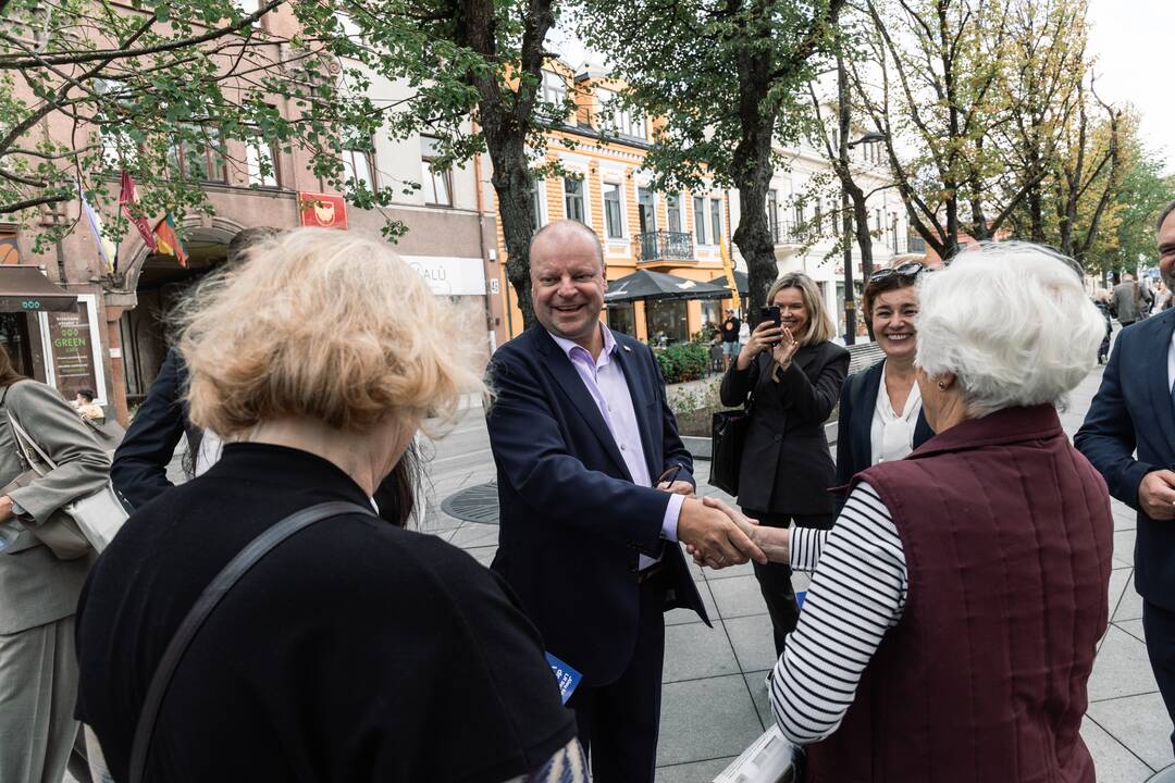 Demokratų sąjungos „Vardan Lietuvos“ Kauno skyrius pristatė komandos narius