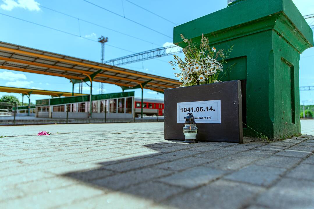 Gedulo ir vilties dienos minėjimas Kaune