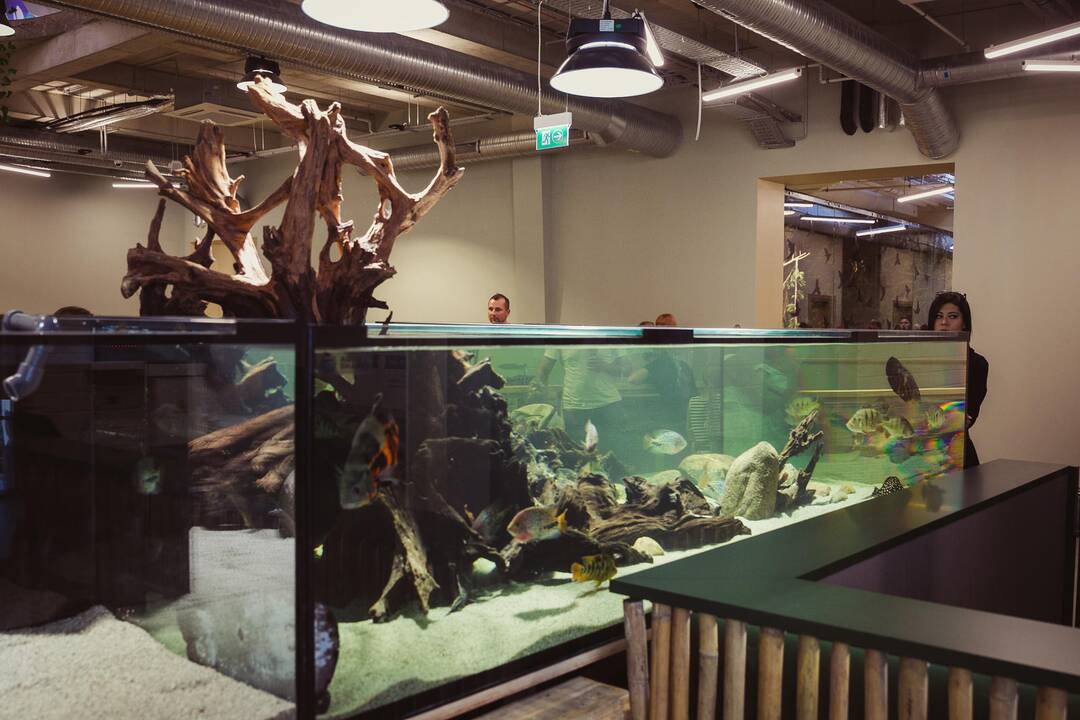 Vilniuje duris atvėrė zoologijos sodas