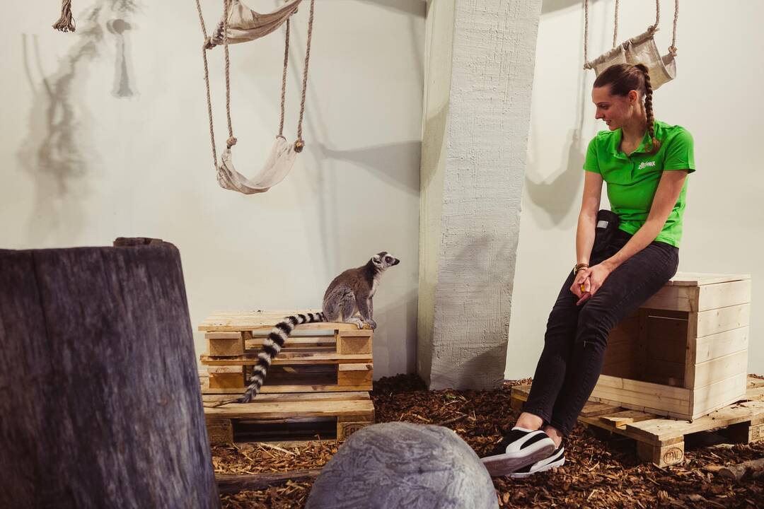 Vilniuje duris atvėrė zoologijos sodas