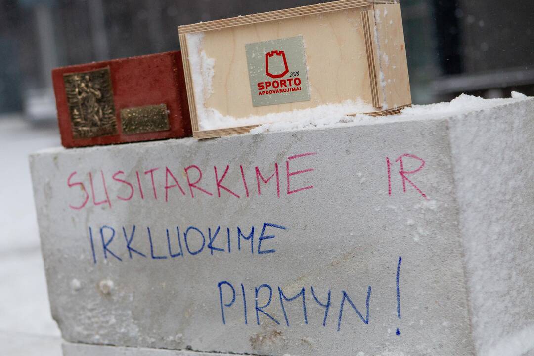 Akcija „Šimašiau, neišvaryk irkluotojų iš Vilniaus!“