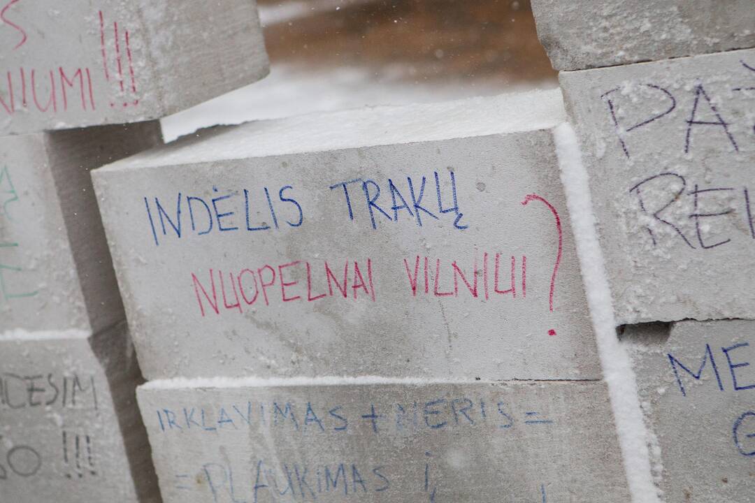 Akcija „Šimašiau, neišvaryk irkluotojų iš Vilniaus!“