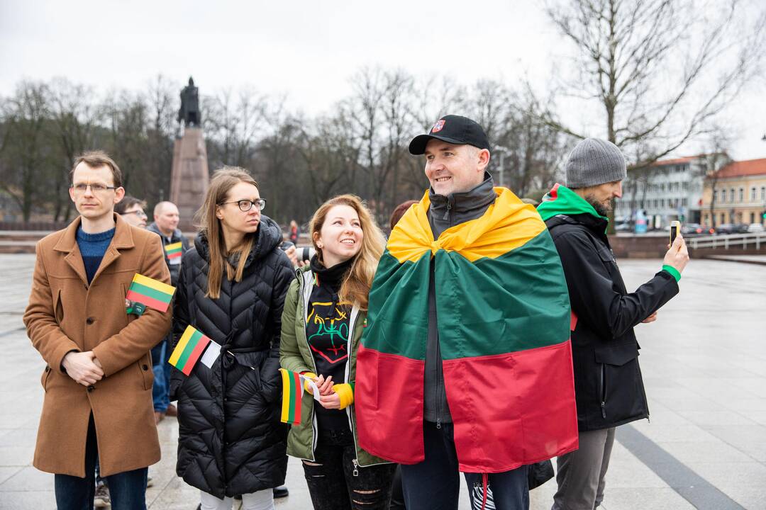 Rekordinis iš žmonių sudarytas Vytis