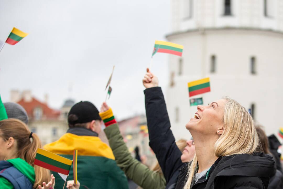 Rekordinis iš žmonių sudarytas Vytis