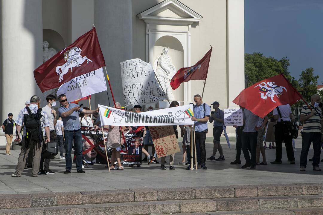 Eitynės „Lietuvių gyvybės svarbios“