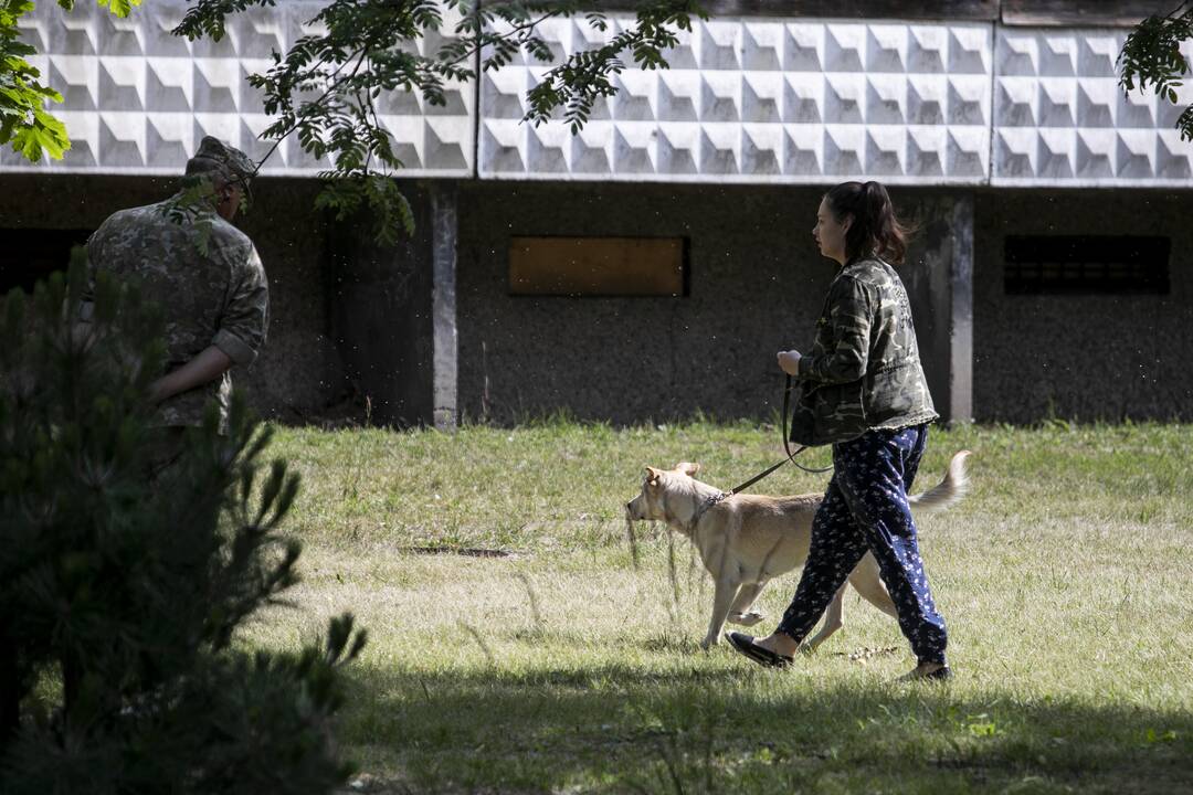 Žaliosios salelės Viršuliškėse atidarymas