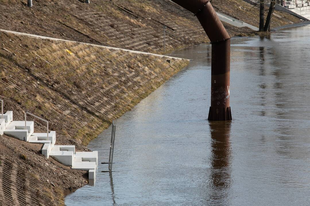 Vilniuje patvino Neries upė