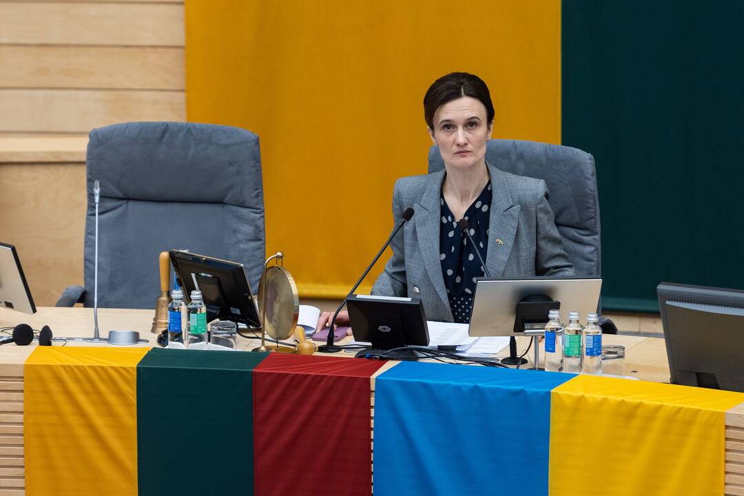 Seime premjerė pristatė praėjusių metų Vyriausybės veiklos ataskaitą