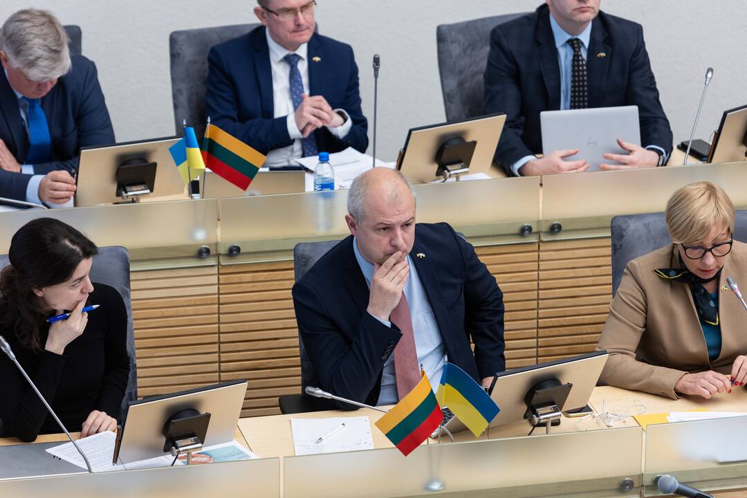 Seime premjerė pristatė praėjusių metų Vyriausybės veiklos ataskaitą