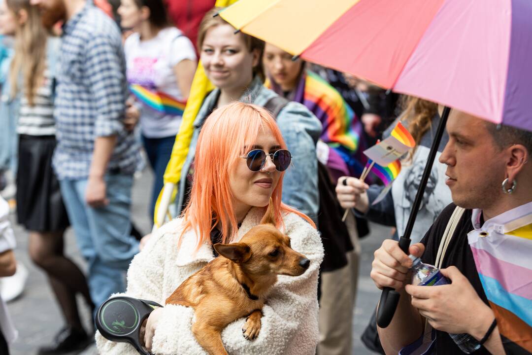 Vilniuje vyksta „Baltic Pride“ eitynės
