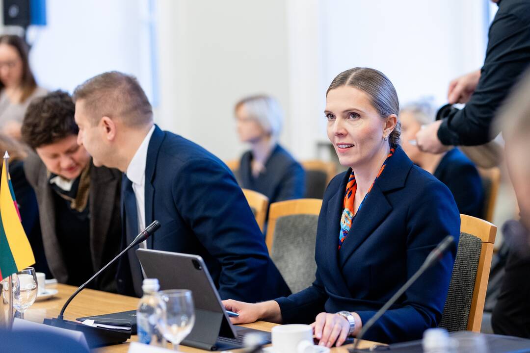 A. Bilotaitė susitiko su septynių šalių vidaus reikalų ministrais