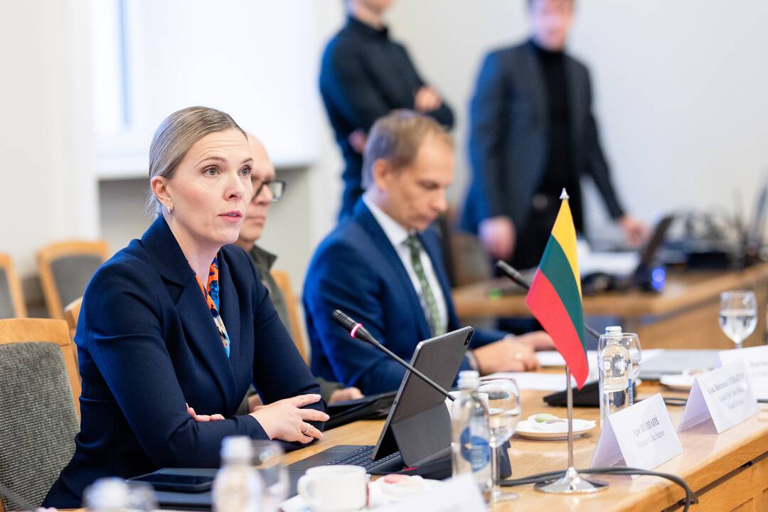 A. Bilotaitė susitiko su septynių šalių vidaus reikalų ministrais