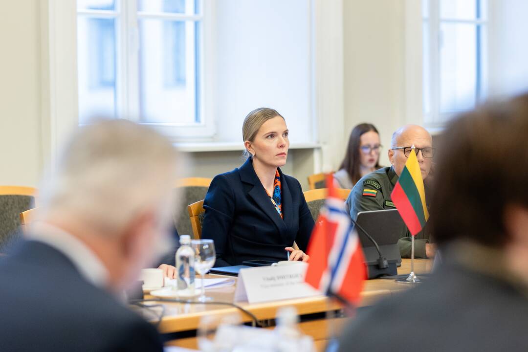 A. Bilotaitė susitiko su septynių šalių vidaus reikalų ministrais