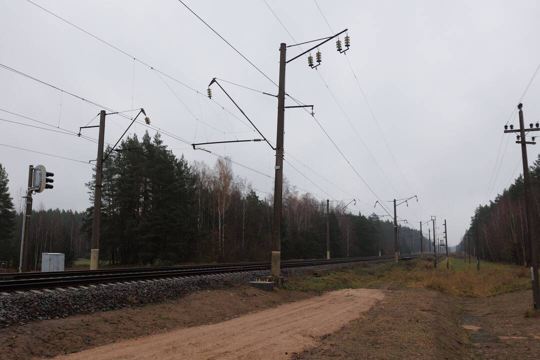 Tunelio kelių Lentvaris–Vievis sankirtoje atidarymas