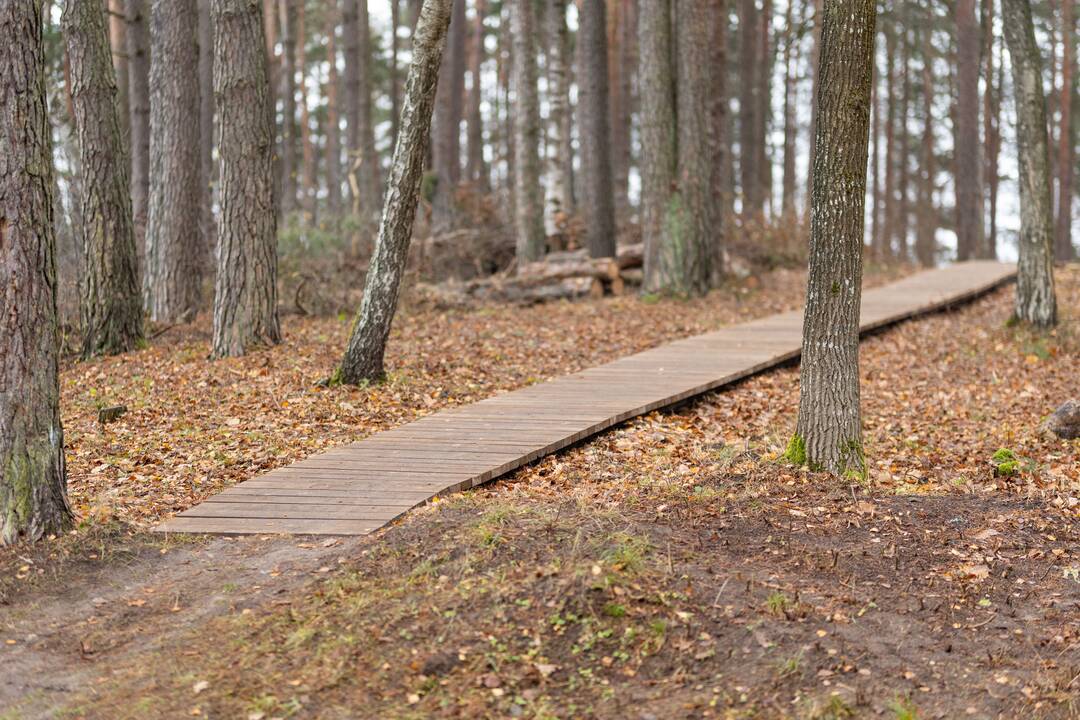 Visuomenei atveriamos pakrantės prie Gulbinų kvartalo