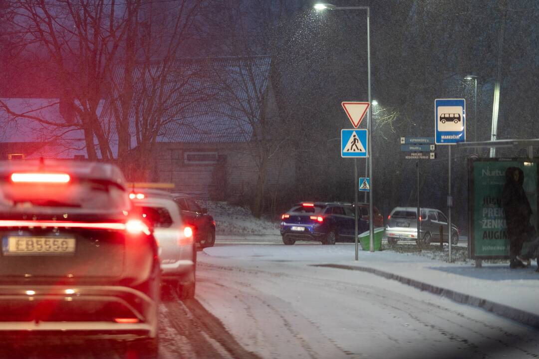 Pūga Vilniuje