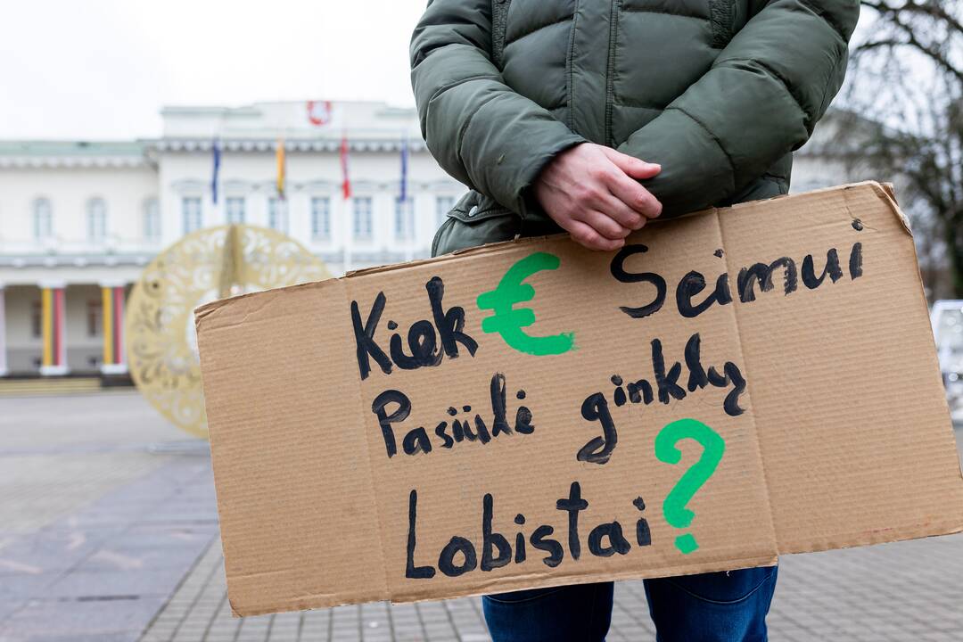 Prie Prezidentūros vyko demonstracija dėl naktinių taikiklių