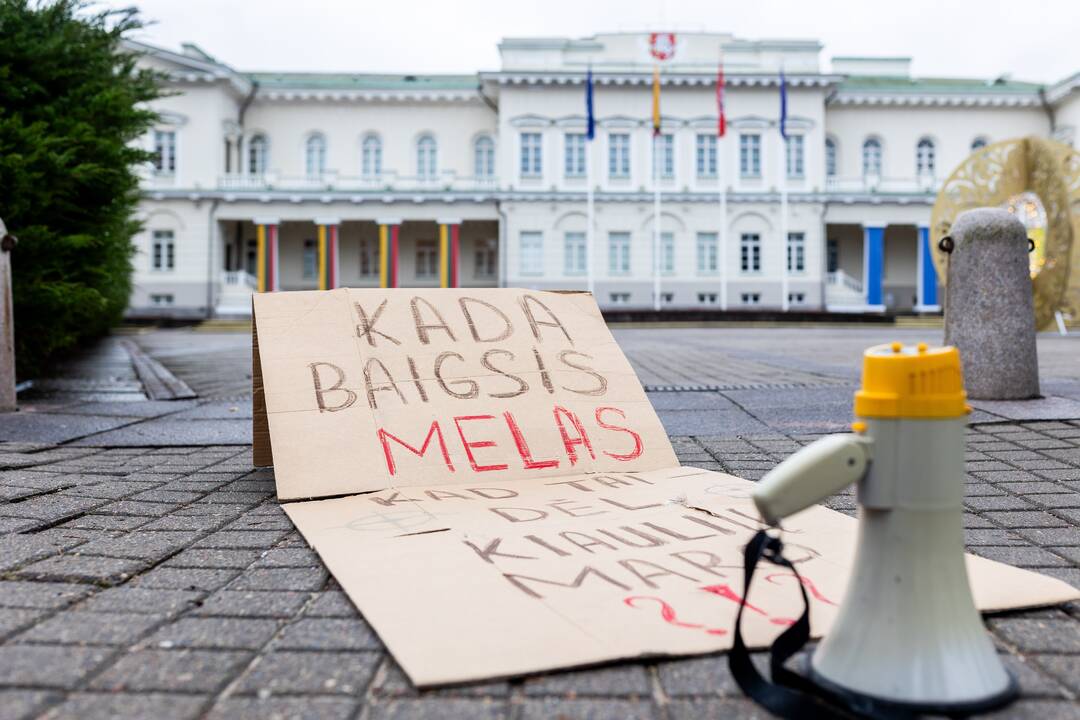 Prie Prezidentūros vyko demonstracija dėl naktinių taikiklių