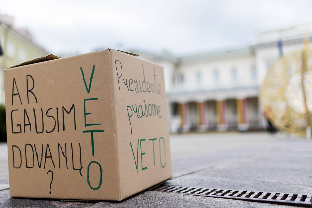 Prie Prezidentūros vyko demonstracija dėl naktinių taikiklių
