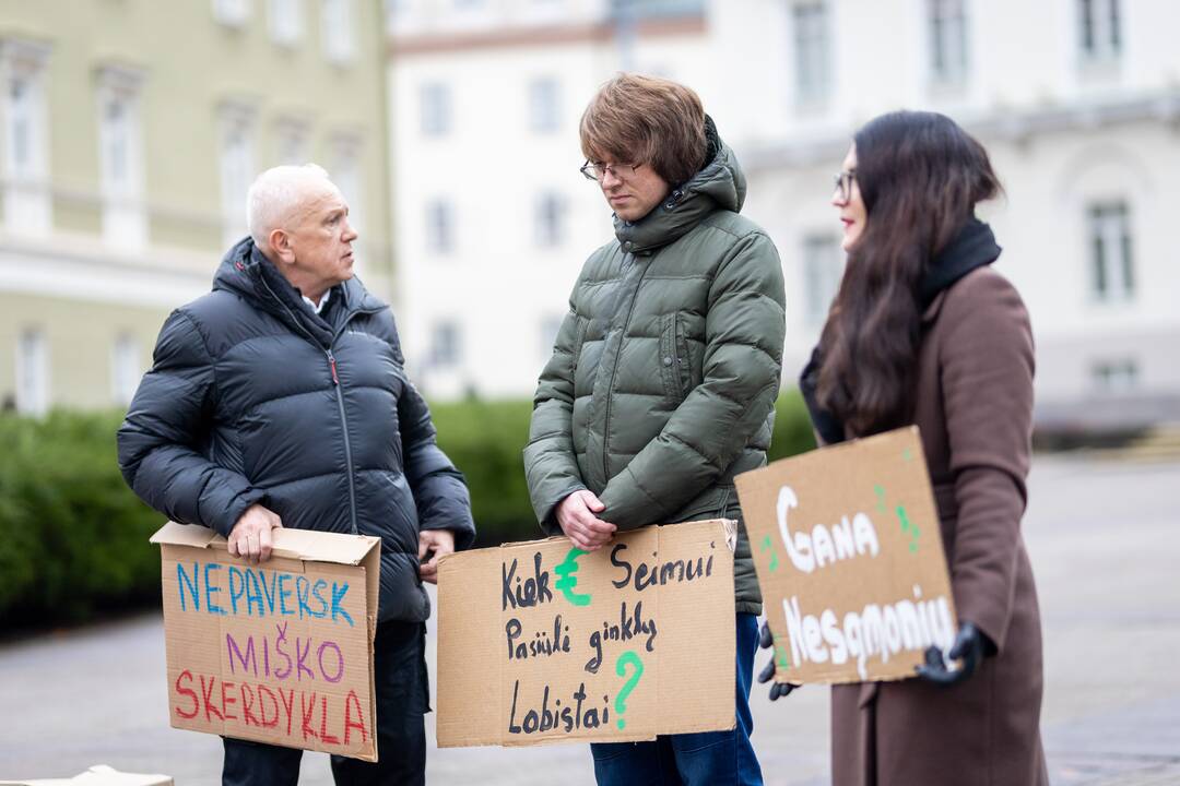 Prie Prezidentūros vyko demonstracija dėl naktinių taikiklių