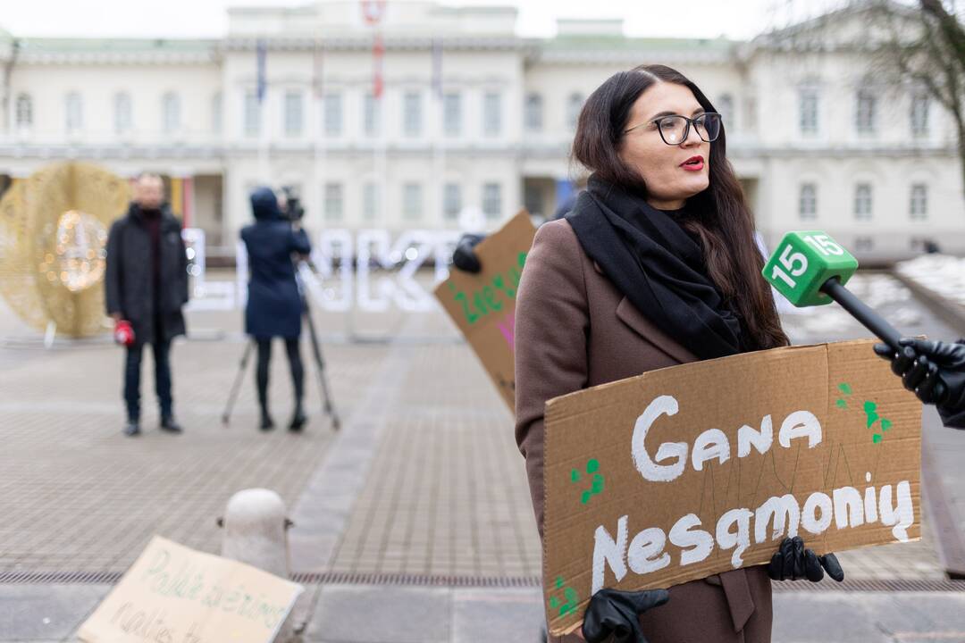 Prie Prezidentūros vyko demonstracija dėl naktinių taikiklių